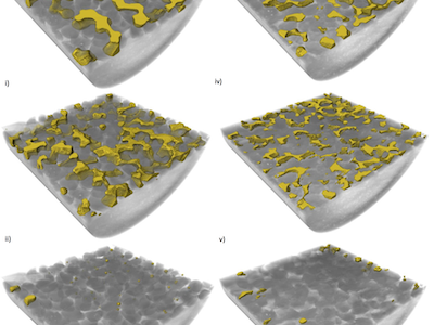 data sample under microscope