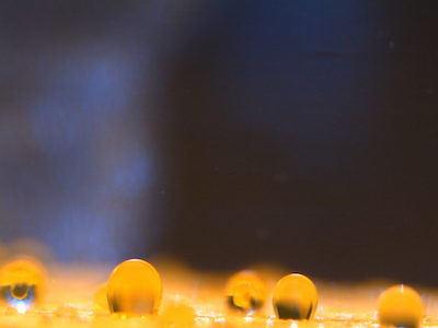 data sample under microscope