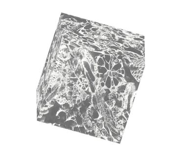 data sample under microscope