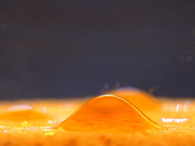data sample under microscope