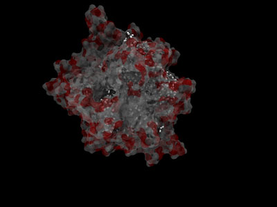 data sample under microscope