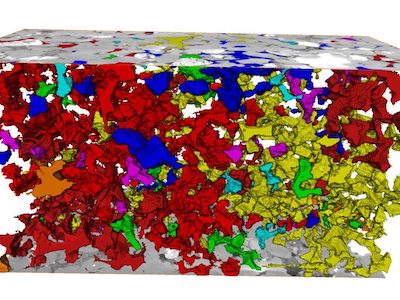 data sample under microscope